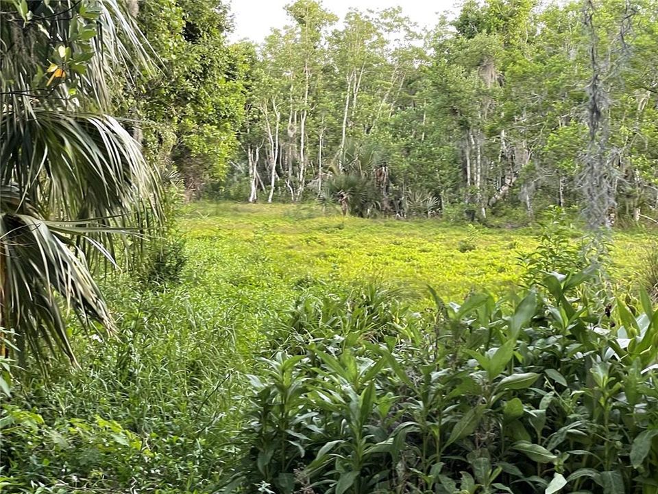 На продажу: $645,000 (20.33 acres)