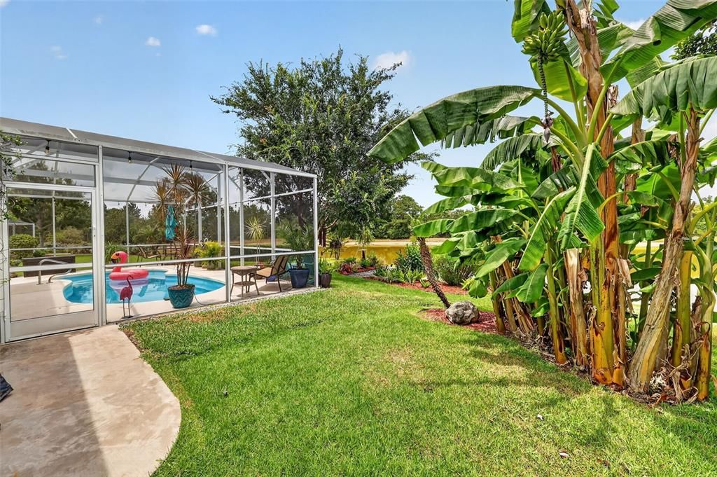 For Sale: $515,000 (3 beds, 2 baths, 1864 Square Feet)