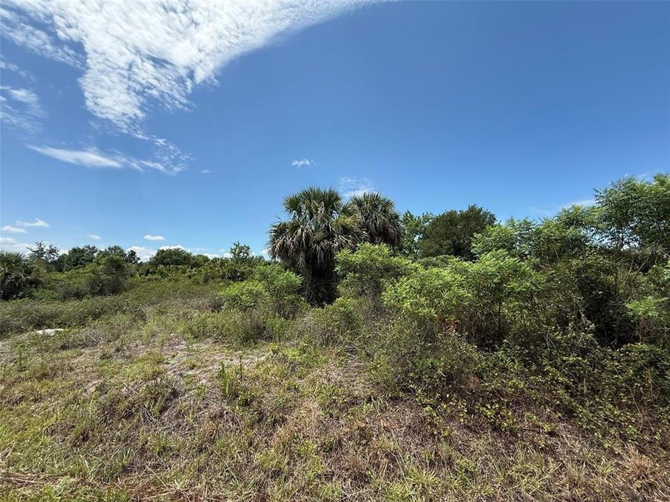 待售: $29,900 (1.25 acres)