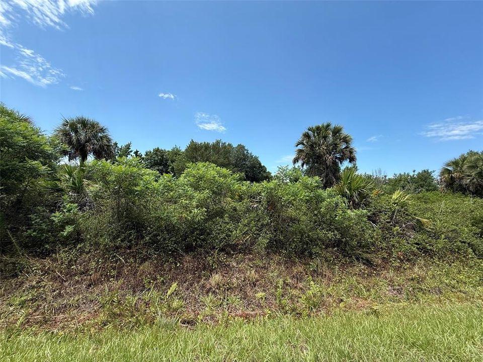 待售: $29,900 (1.25 acres)
