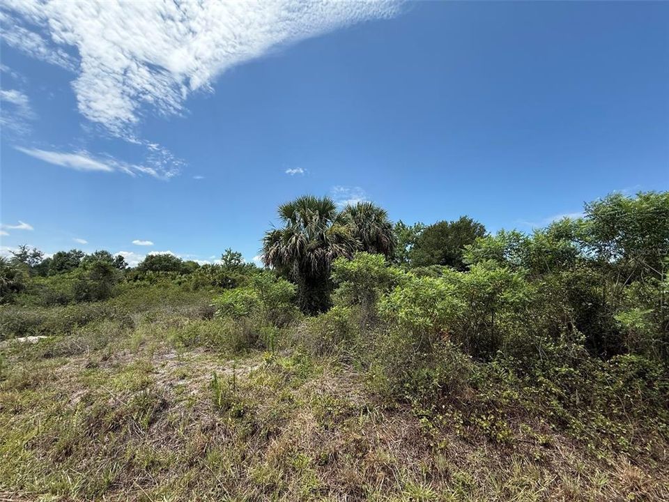待售: $29,900 (1.25 acres)