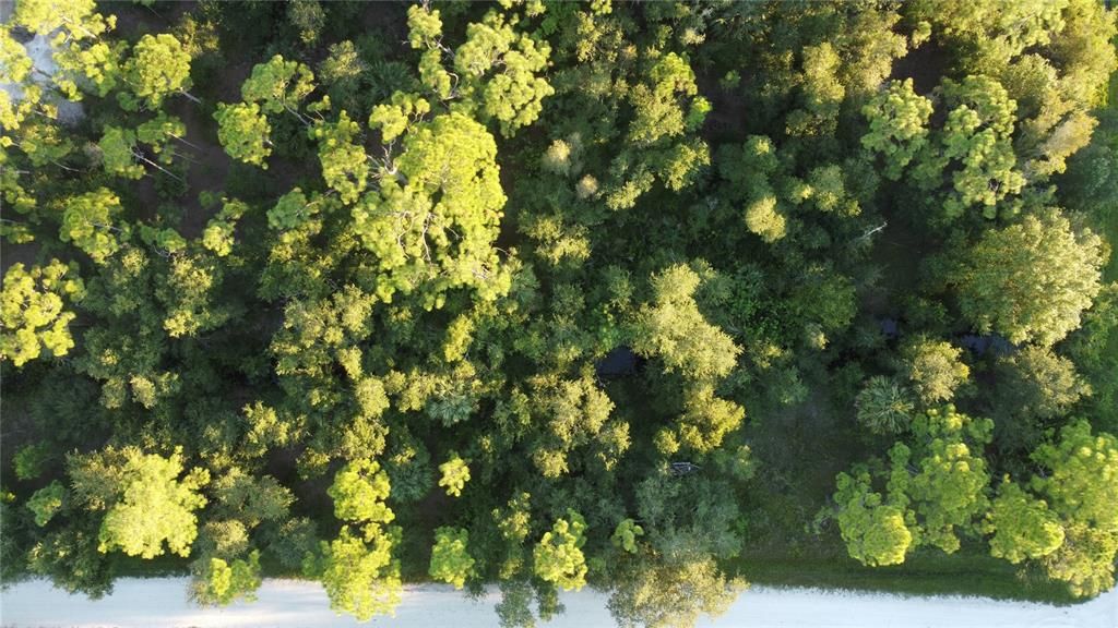 For Sale: $16,999 (0.17 acres)