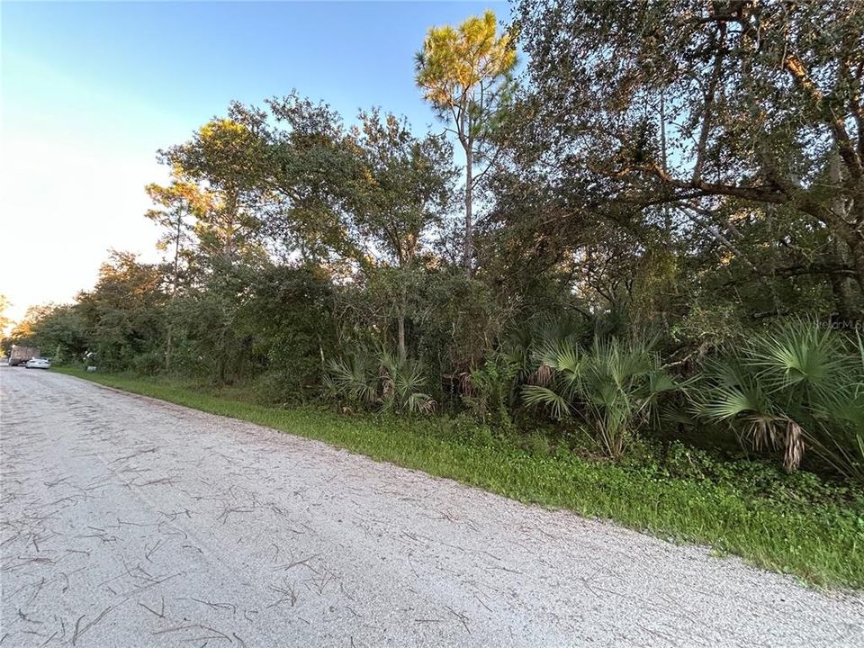 For Sale: $16,999 (0.17 acres)