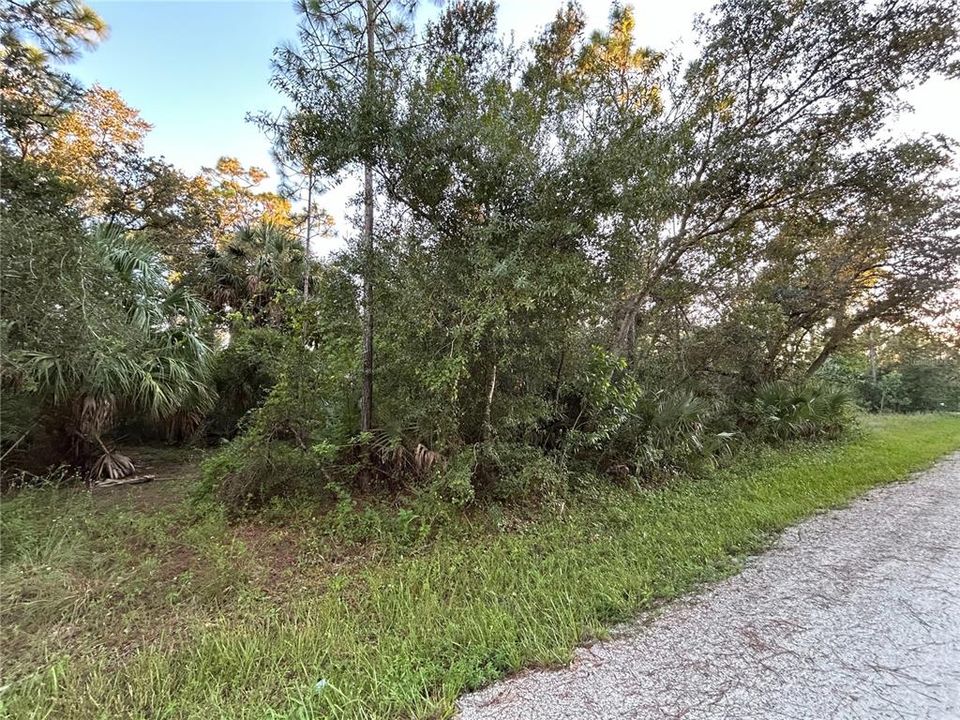 For Sale: $16,999 (0.17 acres)