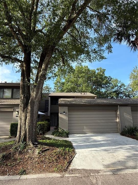 Active With Contract: $2,250 (3 beds, 3 baths, 1793 Square Feet)