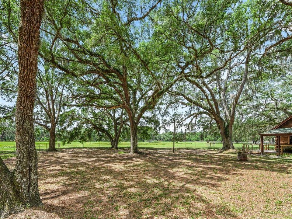 For Sale: $649,000 (2 beds, 2 baths, 975 Square Feet)