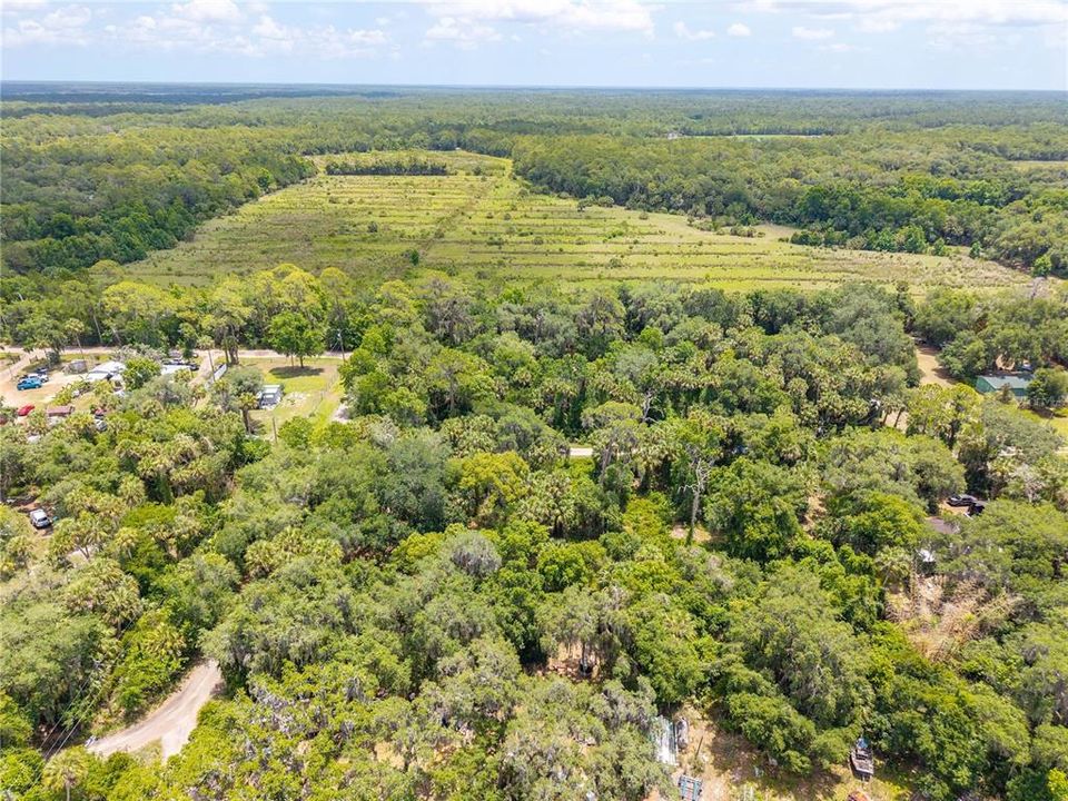 En Venta: $119,999 (1.37 acres)