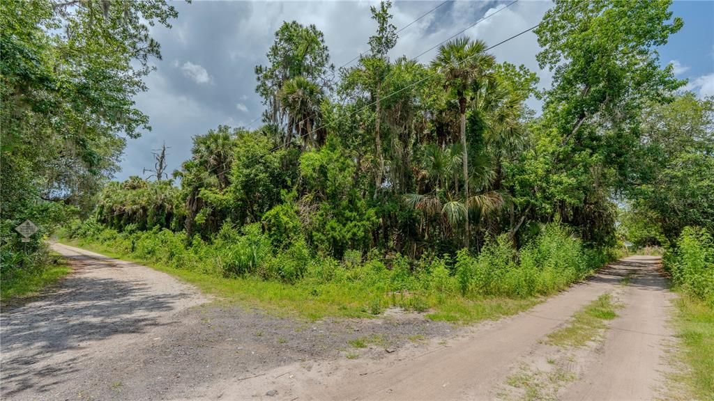 En Venta: $119,999 (1.37 acres)