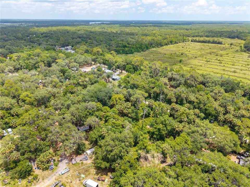 En Venta: $119,999 (1.37 acres)