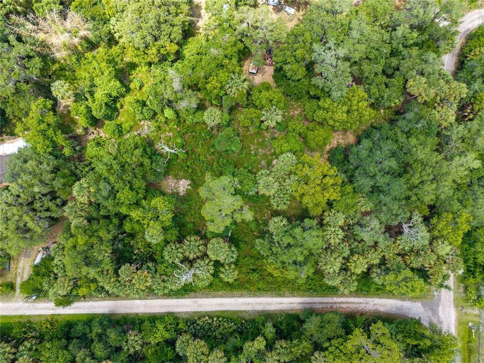 En Venta: $119,999 (1.37 acres)
