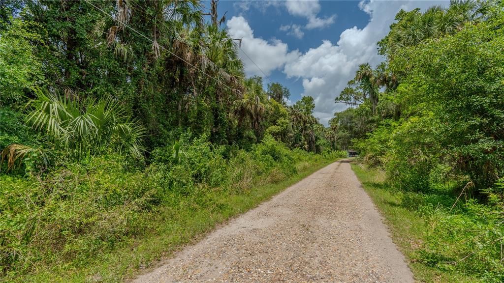 En Venta: $119,999 (1.37 acres)