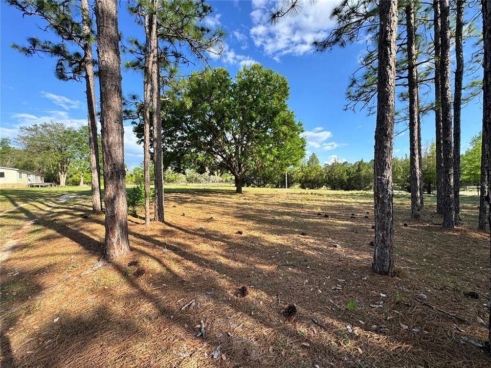 For Sale: $235,000 (3 beds, 2 baths, 1344 Square Feet)