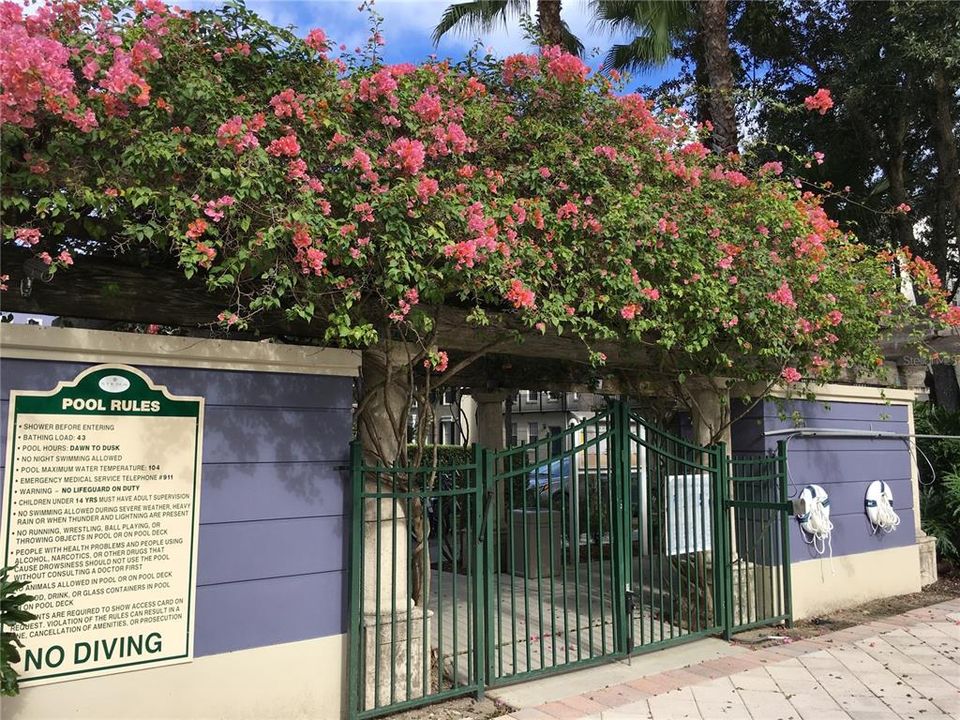En Renta: $2,250 (2 camas, 1 baños, 1390 Pies cuadrados)