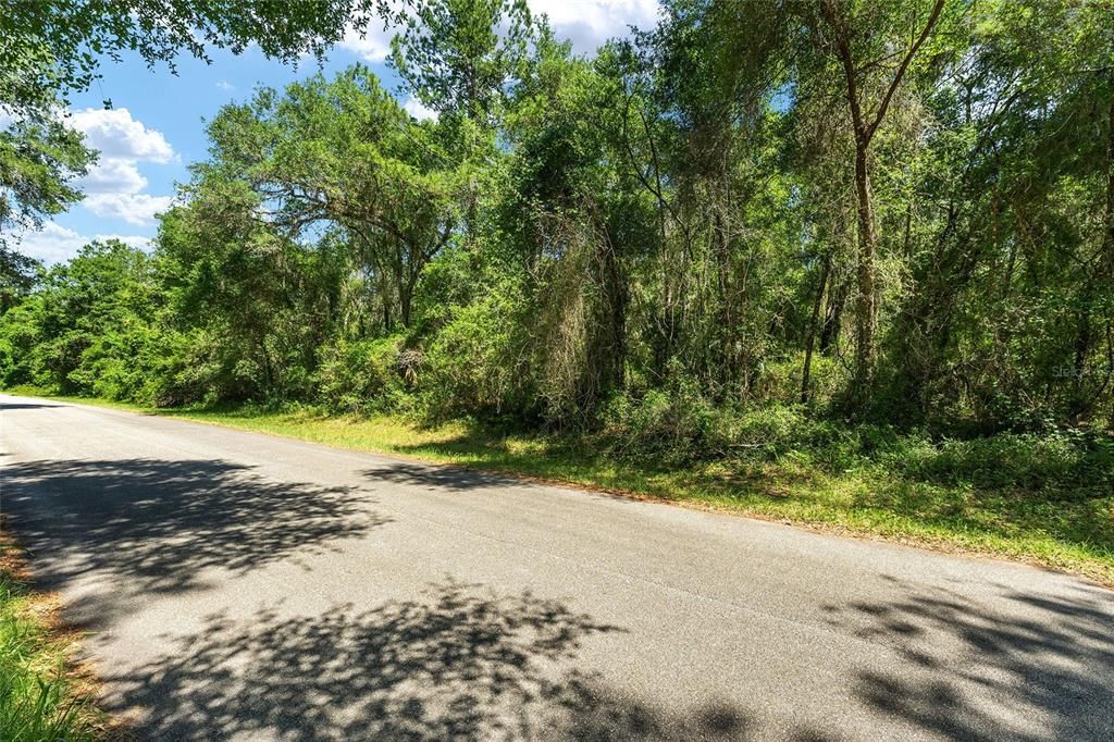 Activo con contrato: $14,000 (0.24 acres)