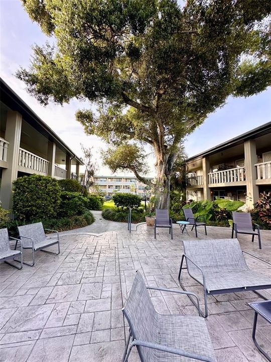 For Sale: $119,000 (1 beds, 1 baths, 780 Square Feet)