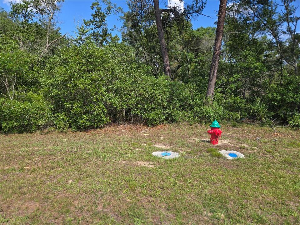 En Venta: $165,000 (0.55 acres)