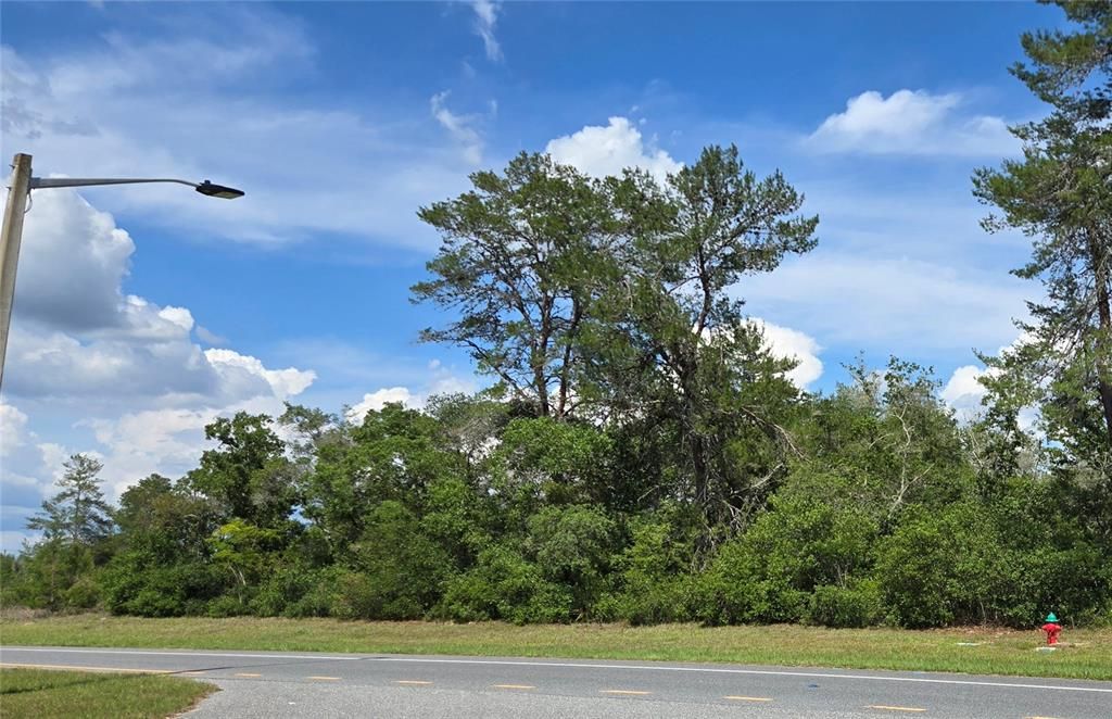 En Venta: $165,000 (0.55 acres)