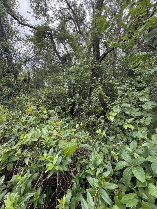 For Sale: $18,500 (0.18 acres)