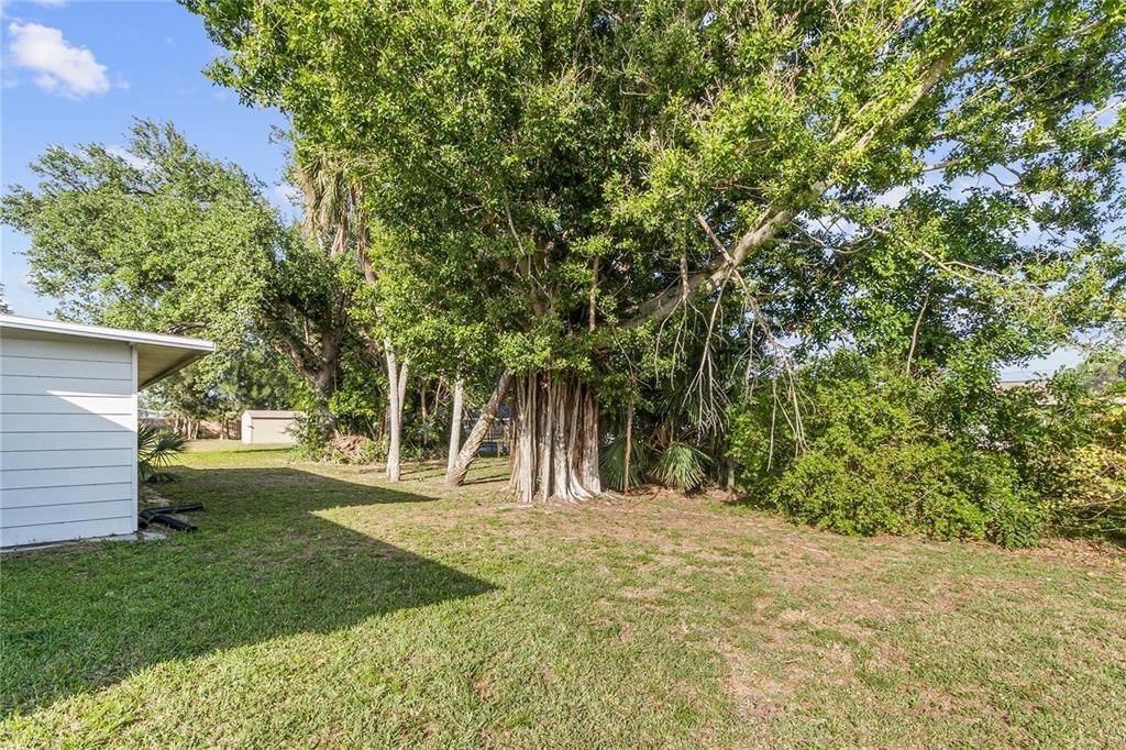 For Rent: $1,600 (3 beds, 1 baths, 1399 Square Feet)