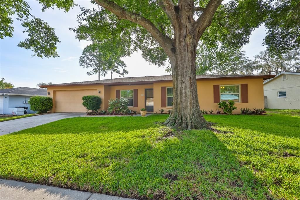 For Sale: $399,000 (3 beds, 2 baths, 1605 Square Feet)