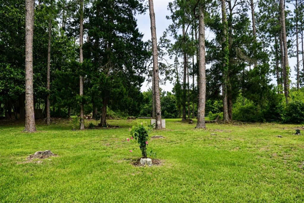 For Rent: $1,870 (3 beds, 2 baths, 1368 Square Feet)