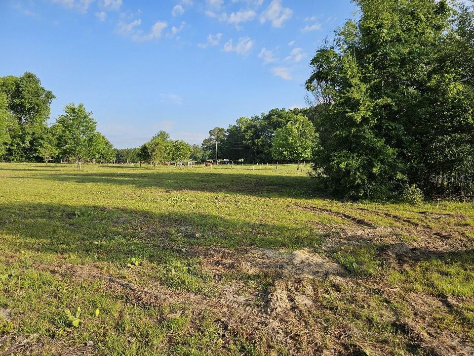 For Sale: $150,000 (10.01 acres)