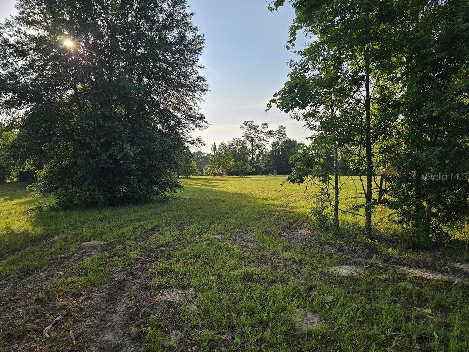 For Sale: $150,000 (10.01 acres)