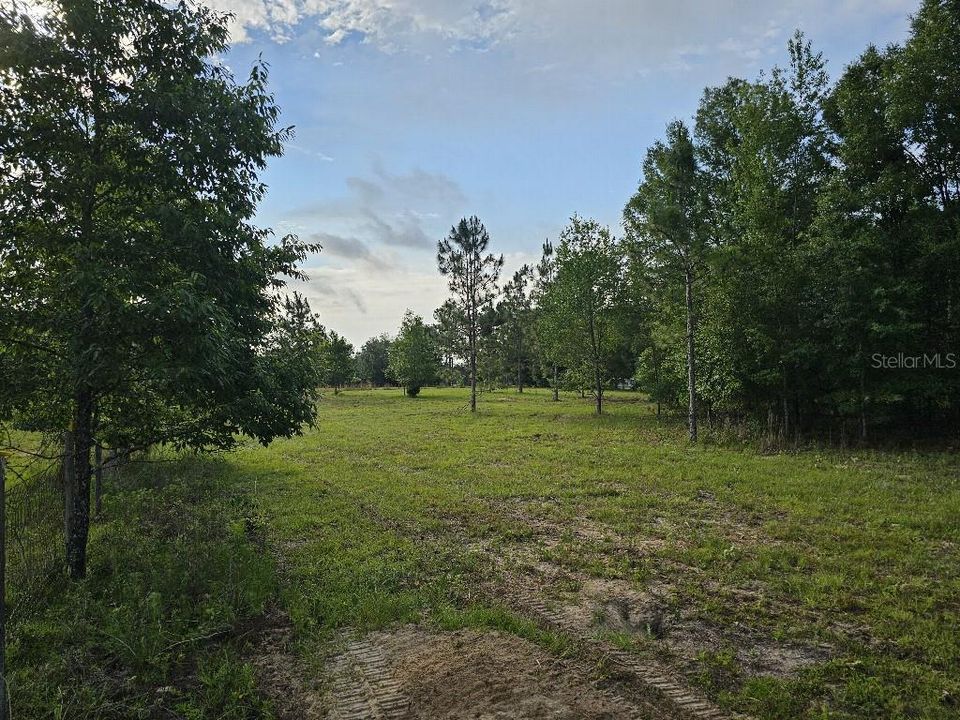 For Sale: $150,000 (10.01 acres)