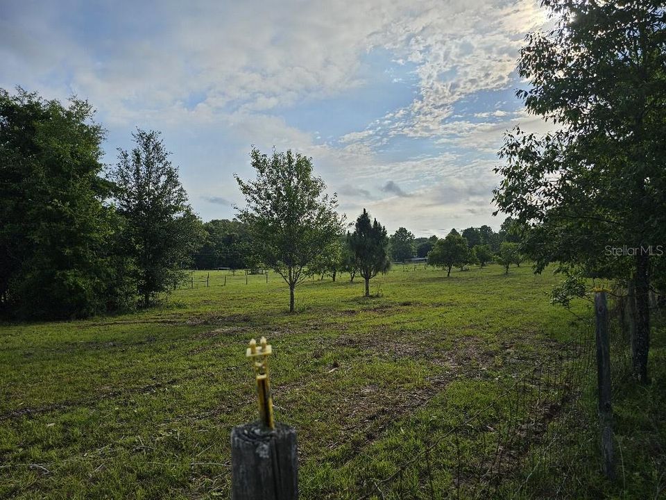 For Sale: $150,000 (10.01 acres)