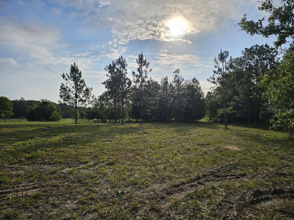 For Sale: $150,000 (10.01 acres)