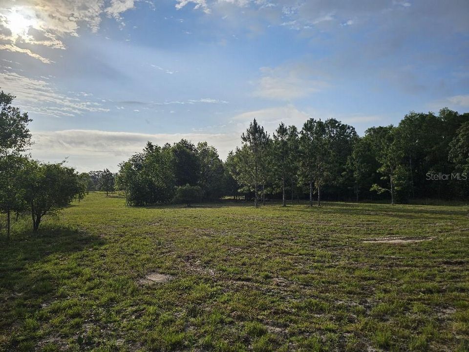 For Sale: $150,000 (10.01 acres)