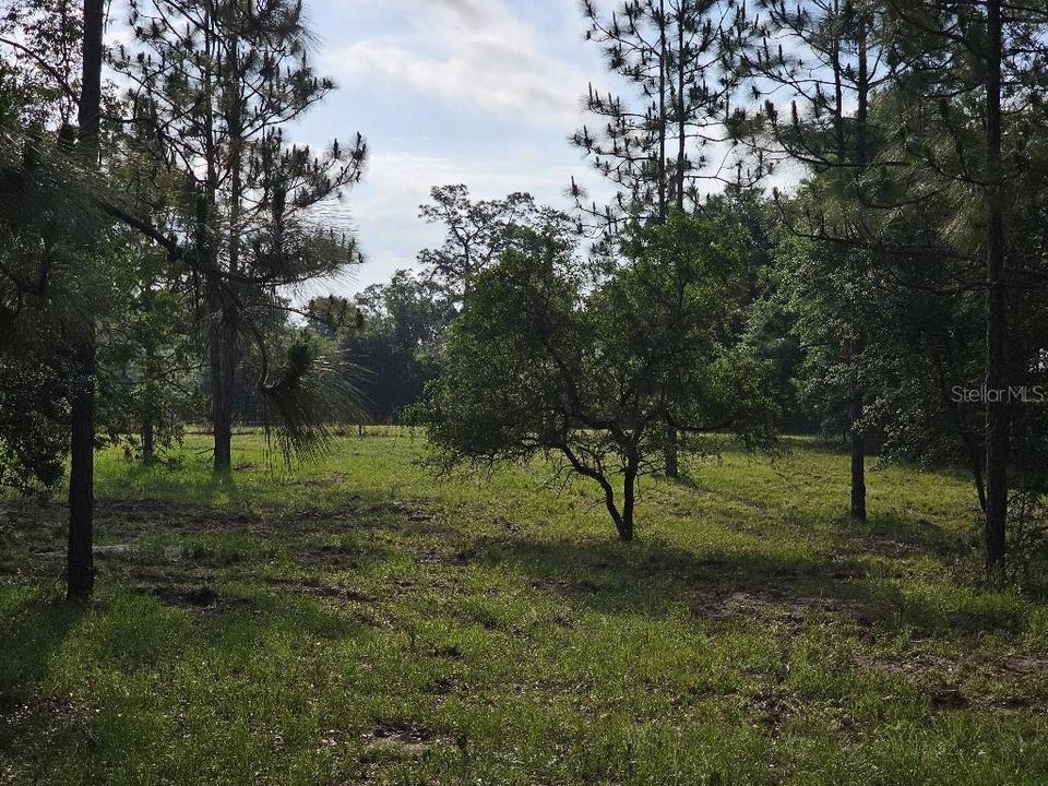 For Sale: $150,000 (10.01 acres)