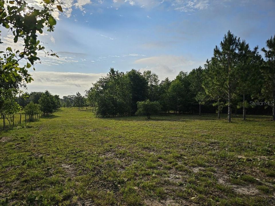 For Sale: $150,000 (10.01 acres)