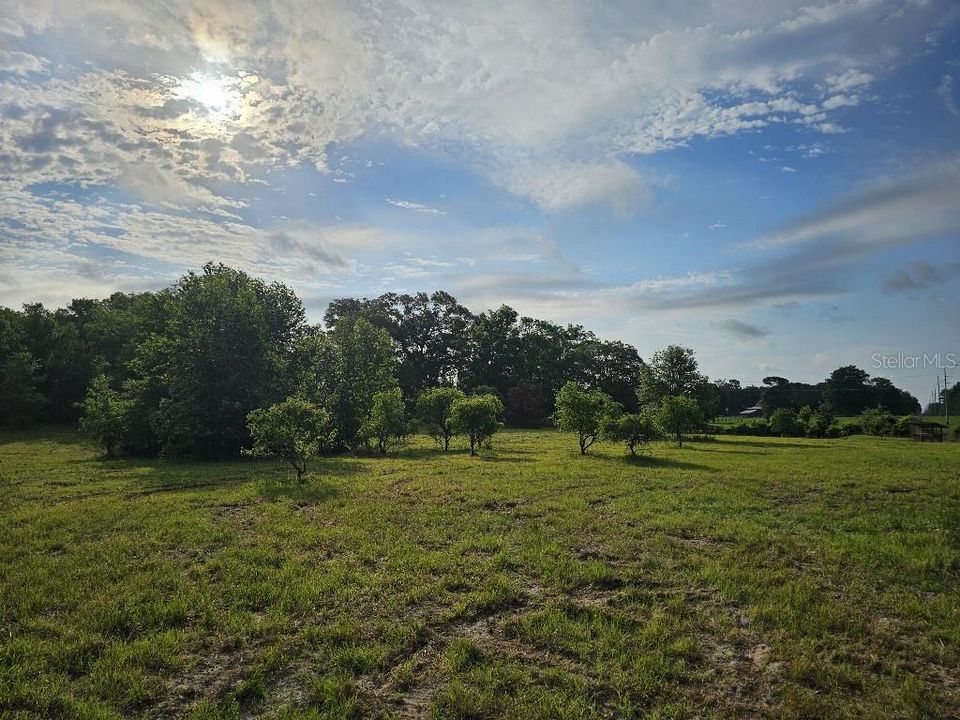 For Sale: $150,000 (10.01 acres)