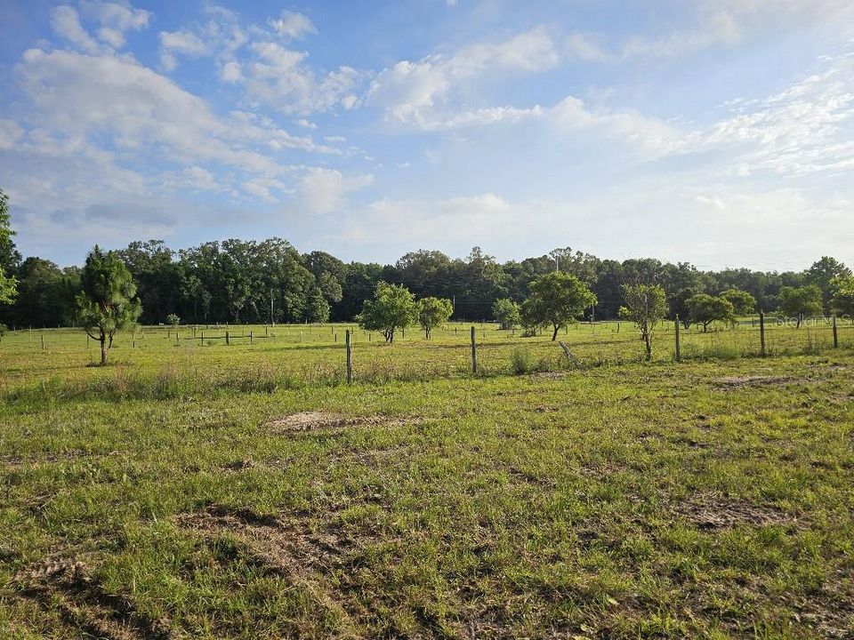 For Sale: $150,000 (10.01 acres)
