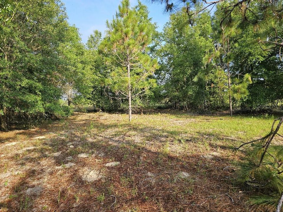 For Sale: $150,000 (10.01 acres)