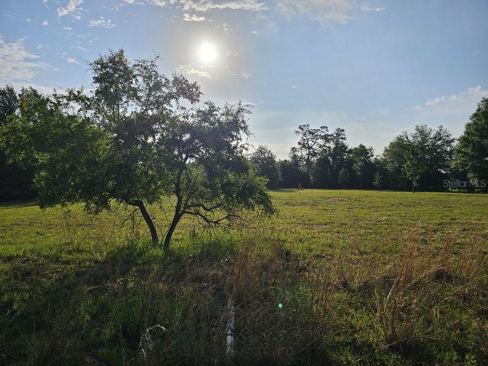 For Sale: $150,000 (10.01 acres)