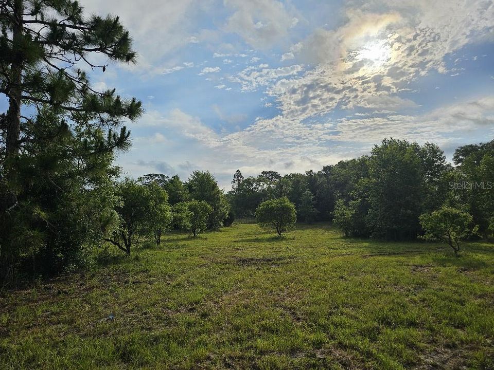 For Sale: $150,000 (10.01 acres)