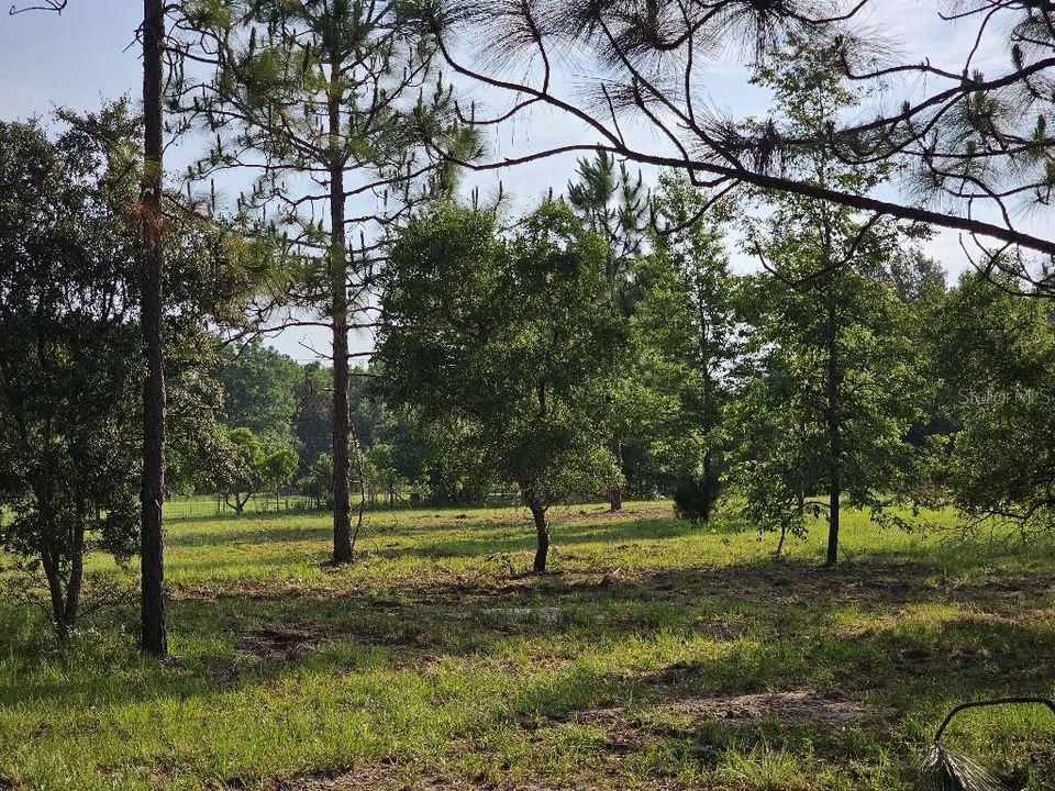 For Sale: $150,000 (10.01 acres)