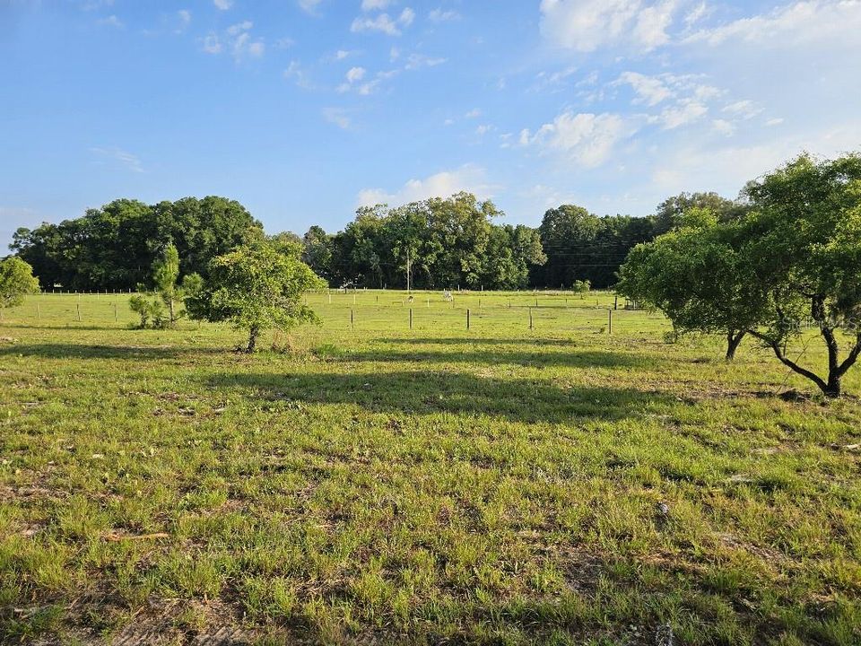For Sale: $150,000 (10.01 acres)