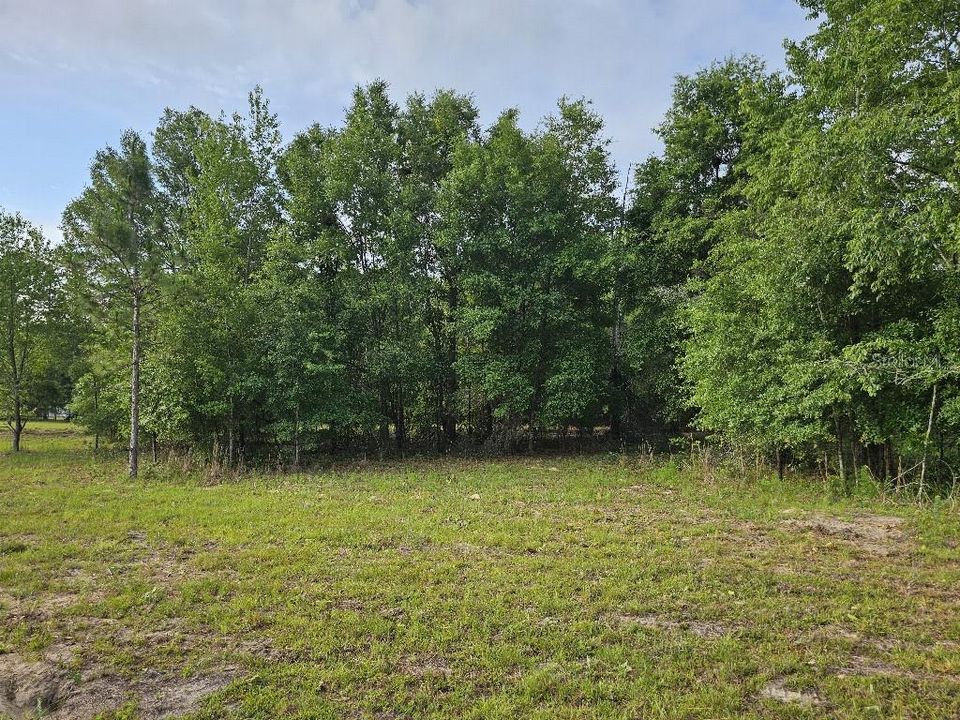 For Sale: $150,000 (10.01 acres)