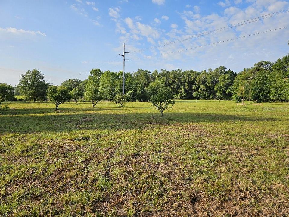For Sale: $150,000 (10.01 acres)