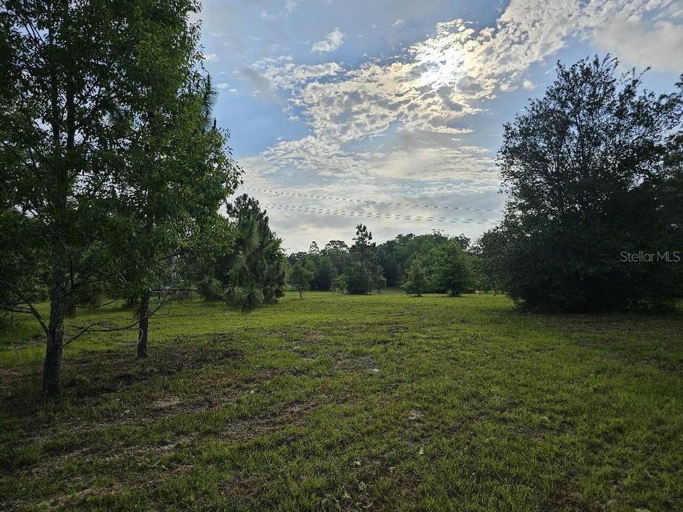 For Sale: $150,000 (10.01 acres)