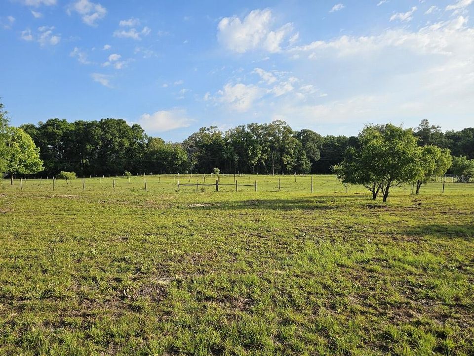 For Sale: $150,000 (10.01 acres)