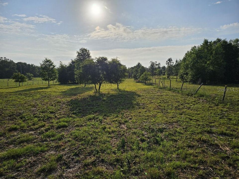 For Sale: $150,000 (10.01 acres)
