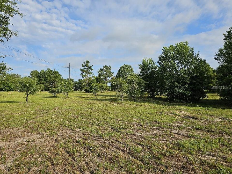 For Sale: $150,000 (10.01 acres)