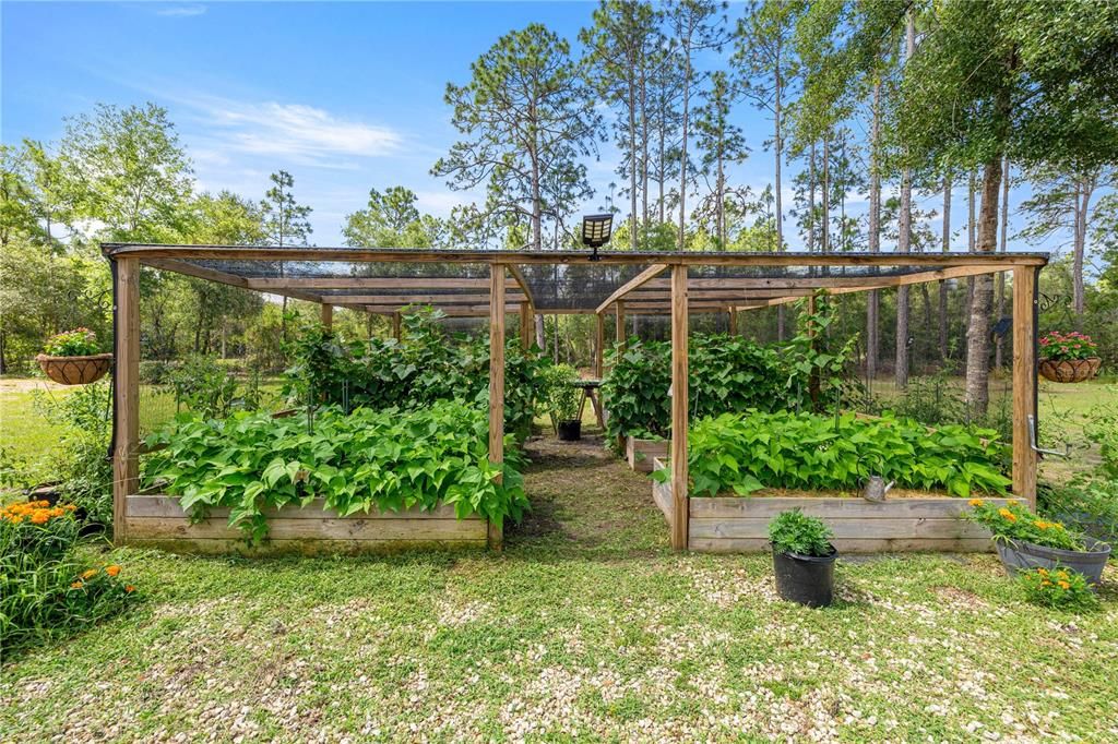 For Sale: $349,900 (3 beds, 2 baths, 1417 Square Feet)