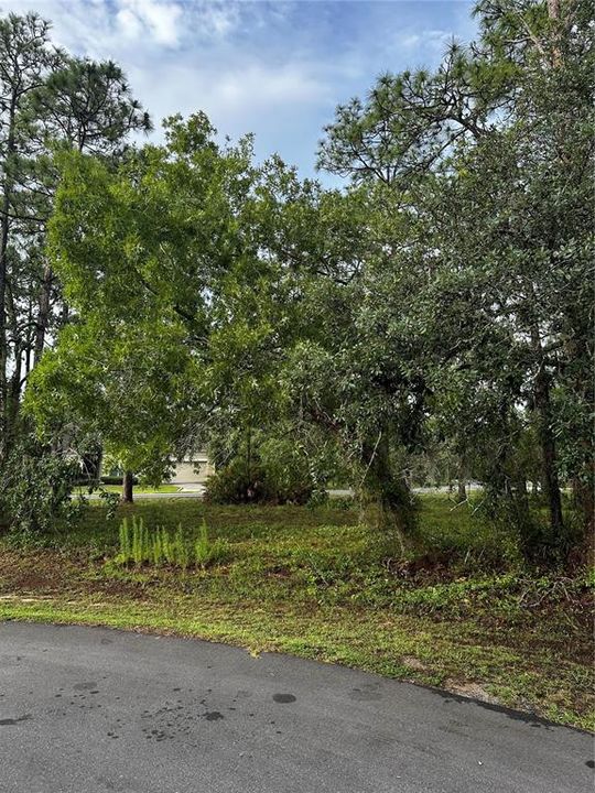 En Venta: $39,900 (0.36 acres)