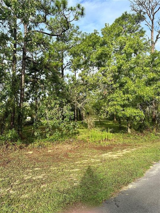 En Venta: $39,900 (0.36 acres)