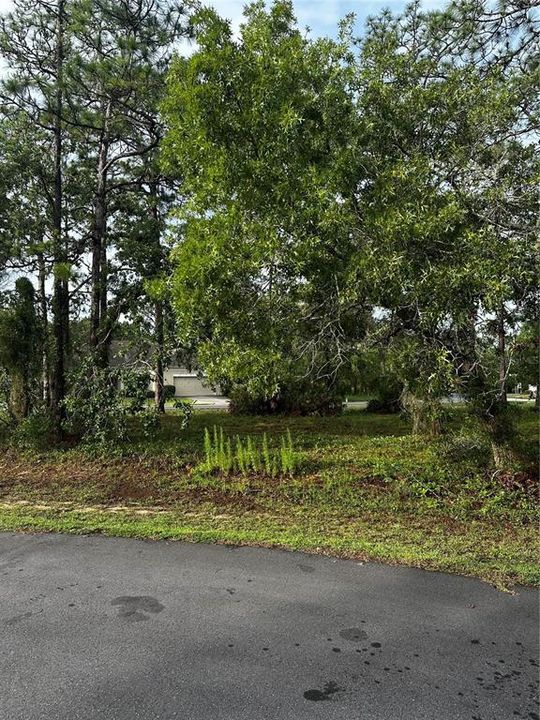 En Venta: $39,900 (0.36 acres)